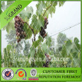 HDPE material with UV stabilizer orchards anti bird net